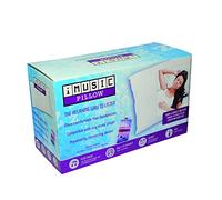 Original Products Imusic Pillow, Multi
