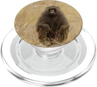 Olive Baboon PopSockets PopGrip for MagSafe