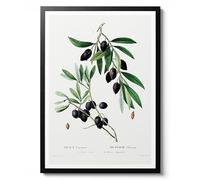Olive Branch Botanical Poster by Pierre-Joseph Redouté, Vintage Illustration Print, Tree and Fruit Wall Art, Nature Collection Decor, Archival Matte, A5 (Print Only) - 21x14.8cm