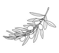 'Olive Branch' Rubber Stamp - Unmounted Design for Crafting & Scrapbooking, A8 (RS00046952)