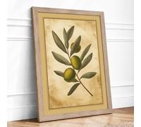 Olive Branch Study Botanical Framed Wall Art Print A3 Oak