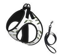Olive Branch Watercolor Style Nature,Pet Harness,Adjustable Reflective Dog Harness,Pet Leash Vest,L