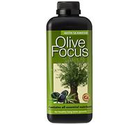 Olive Focus Liquid Concentrated Fertiliser 1 Litre
