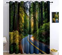 Olive Green Blackout Curtains for Bedroom, W 46" x L 54" Drop Eyelet Curtains for Living Room, Nature Trees Road Print Soft Thermal Insulated Window Curtain 2 Panels