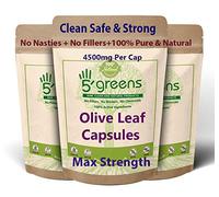 Olive Leaf Extract (Non-GMO) Super Strength: 40% Oleuropein - 450mg 10:1 Strength Equivalent to 4500mg per Capsule - Vegetarian - No Oil -120 Capsules