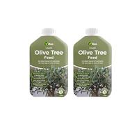 Olive Tree Feed Fertiliser, Slow Release Plant Food for Garden Hedge, Shrub, Borders, Pots & Containers Extended Nitrogen Release 1Lx2