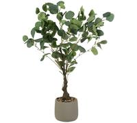 Olive Tree - This Olive Tree Is A Gorgeous Way To Bring A Sense Of The Outdoors Into Your Garden Or Home - Great For Adding Some Stunning Floral Colour To Your Decor (Grey)