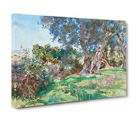 Olive Trees By John Singer Sargent Canvas Print | Gallery Wrapped 30mm Frame Wall Art | 30x20 inches | Ready to Hang | Classic Landscape Picture | Living Room Bedroom Lounge Office