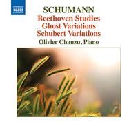 Oliver Chauzu - Schumann: Beethoven Studies