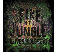 Oliver Koletzki - Fire in the Jungle