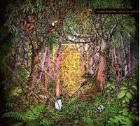 OLIVER KOLETZKI - FIRE IN THE JUNGLE (CD+MP3) CD NEW