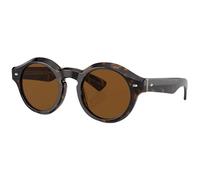 Oliver Peoples Cassavet - Walnut - 0OV5493SU-WAL CASSAVET Colour: WAL