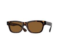 Oliver Peoples OV5540SU ROSSON SUN 100953 Unisex Sunglasses Acetate Turtle Brown Pillow Normal