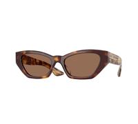 Oliver Peoples OV5582SU 1961C 100773 Woman Sunglasses Acetate Turtle Brown Cat Eye Normal
