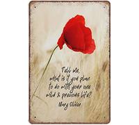 Oliver Quote Tell Me What Is It You Plan To Do With Your One Wild & Precious Life Self Love Art Print Novelty Retro Metal Tin Sign Poster Plaque Bar Pub Club Cafe Home Decor 8x12 Inch
