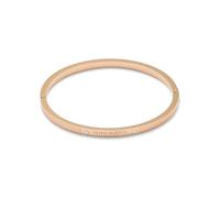 Olivia Burton Classic Linear Women's Hinged Carnation Gold Tone Bangle