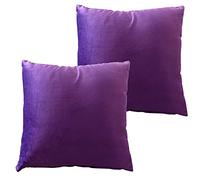 Olivia Rocco Set Of 2 Plain Velvet Cushion Cover 43 x 43cm Sofa Bed Chair Soft Smooth Washable Square Cushions Decorative Pillows With Invisible Zipper For Couch Bedroom Living Room, Plum