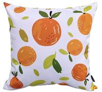 Olivia Rocco Waterproof Cushion Covers 43 x 43 cm Reversible Breathable Decorative Cover for Indoor & Outdoor Use Patio Garden Sofa Bed Chair, (Summer Fruits)