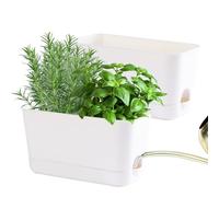 Oliz Herb Garden Planter Indoor Kit Self Watering Pots for Indoor/Outdoor Plants 2 Packs Windowsill Plant Pots with Drainage and Tray, Window Pot for Indoor Plants