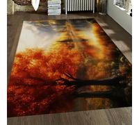 OLLIAR Home Autumn Natural Scenery Washable Area Rug 160x220cm Dream Mountain Lake Orange Tree Fall Rugs Non Slip Low Pile Carpet for Bedroom Kitchen Picnic
