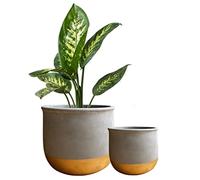 Olly & Rose Gold Dip Ceramic Plant Pot Set 2 Indoor Planters 17cm + 12cm Outdoor Flower Pots Cement Plant Pots
