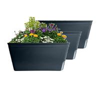 Olly & Rose Lazy Planters - Self Watering Planters - Pack of 3 - Matt Black Self Watering Plant Pots (Black)
