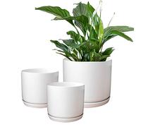 Olly & Rose Matt White Ceramic Plant Pots Garden Planters Set 3 with Saucers Indoor Outdoor Plant Pots Flower Pots Round (Matt White)