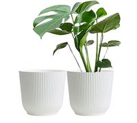 Olly & Rose Oxford Plant Pot Planter Plastic - Pack of 2 - Indoor and Outdoor Flower Pots for Garden and Home - Toughened Resin Plant Pots (White, 22cm)