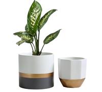 Olly & Rose Salih White Grey and Gold Stripe Plant Pot Set 2 Ceramic Planter Set for Indoors and Outdoors