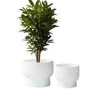 Olly & Rose XL Fibrestone Planter Raised Bowl Set 2 35cm +30cm - Extra Large Plant Pot - Garden Planters in White - Plant Pots Outdoor and Indoor
