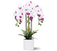 Olrla Artificial Orchid in Pot, 19.69in White-and-purple Phalaenopsis, Premium Home & Office Decoration, Table Decoration, Lasting Gift for Wedding, Housewarming