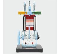 OLSKFUH 4 Stroke Internal Combustion Engine Model - Diesel Engine Model - Four-Stroke Single-Cylinder Diesel Engine Model - For Physics Mechanics Experiment Teaching In