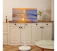 OLSKFUH Universal Tv Stand Mobile Tv Cart For 24-46 Inch Screen Tvs, 360° Switch Between Horizontal And Vertical Screens, Rolling Tv Stand With Silent Concealed Pulley,