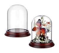 OLYCRAFT 2Pcs Cloche Bell Jar Display Case 116x133mm Glass Dome Cover with Black Sandalwood Base Clear Glass Empty Display Cloche Decorative Dome Cover Stand for Small Plants Collectible Candles