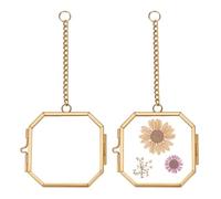 OLYCRAFT 2pcs Mini Hanging Glass Frame 5.4cm Wall Hanging Photo Frames Octagon Double Glass Picture Frame with Chain Brass Frame DIY Artwork Display Frames for Pressed Flowers Pictures Home Wall