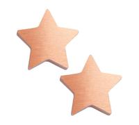 OLYCRAFT 2Pcs Star Flower Food Alternative for Fresh Cut Flowers 19.5x18.5x5mm Star Linking Charms Reusable Star Charm Keeps Flower Water Clean and Clear for Home and Kitchen Vase