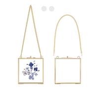 OLYCRAFT 2Pcs Wall Hanging Mini Photo Frames 11x10cm Gold Mini Glass Hanging Frame Double Glass Picture Frame Brass Floating Frames for Pressed Flowers Pictures Home Wall Decor