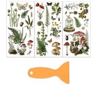 OLYCRAFT 3 Sheets/Set Plant Archives Rub on Transfers for Furniture and Crafts 15x30cm Ferns Mushrooms Furniture Decal Transfer Stickers Rub on Decal with 1pc Scraper for Wooden Home Wardrobe Decor