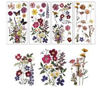 OLYCRAFT 4Pcs/Set Dried Flower Rub on Transfers for Crafts and Furniture 15x30cm Plant Specimens Furniture Transfer Stickers Waterproof Decorative Wall Decal for Wood Furniture Scrapbooking Decor