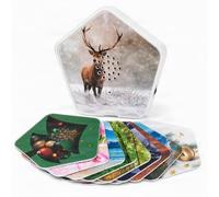 Olymp Sounds of Nature Box Xmas Edition - Relaxation Box with Motion Sensor & 5 Sounds Including Jingle Bells - Soundbox for Bathroom, Office & Yoga - Includes 14 Interchangeable Designs