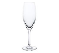 Olympia Cantina Champagne Flute Crystal Glass Wine Drinkware 195ml - Pack of 6