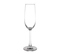 Olympia Modale Champagne Flutes 215Ml 230X70mm Cocktail Wine Glasses 6pc