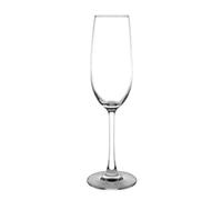 Olympia Modale Champagne Flutes 215Ml 230X70mm Cocktail Wine Glasses 6pc
