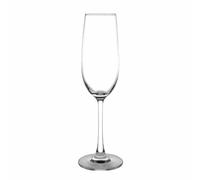 Olympia Modale Crystal Champagne Flutes 7.5oz / 215ml Pack Quantity - 6
