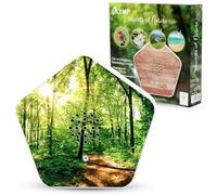 Olymp Sounds of Nature Box | Natural Sounds for Relaxation & Peace | Soundbox with Bird Singing, Stream Whispers, Mountain Meadows, Sea Noise | Music Box with Motion Sensor & Individual Volume Control