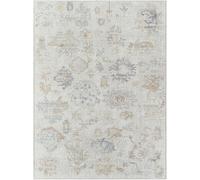 Olympic Rug - Vintage Traditional Oriental Boho - PNWOL2302 - Grey - Sizes Available