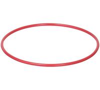 Olympus POL-050 O-Ring for PT-050