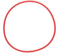 Olympus JAPAN POL-053 O-Ring for PT-053 Underwater Housing