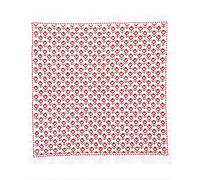 olympus Thread Hitomezashi Sashiko Hana Fukin Flower Field Printed Fabric Embroidery Kit