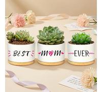OlyPegic Mum Birthday Gifts, 3 PCS Printed Ceramic Plant Pot Set with Bamboo Saucers, Small Indoor Plant Pots for Succulents, Flowers & House Plants, Mother's Day Presents from Daughter/Son